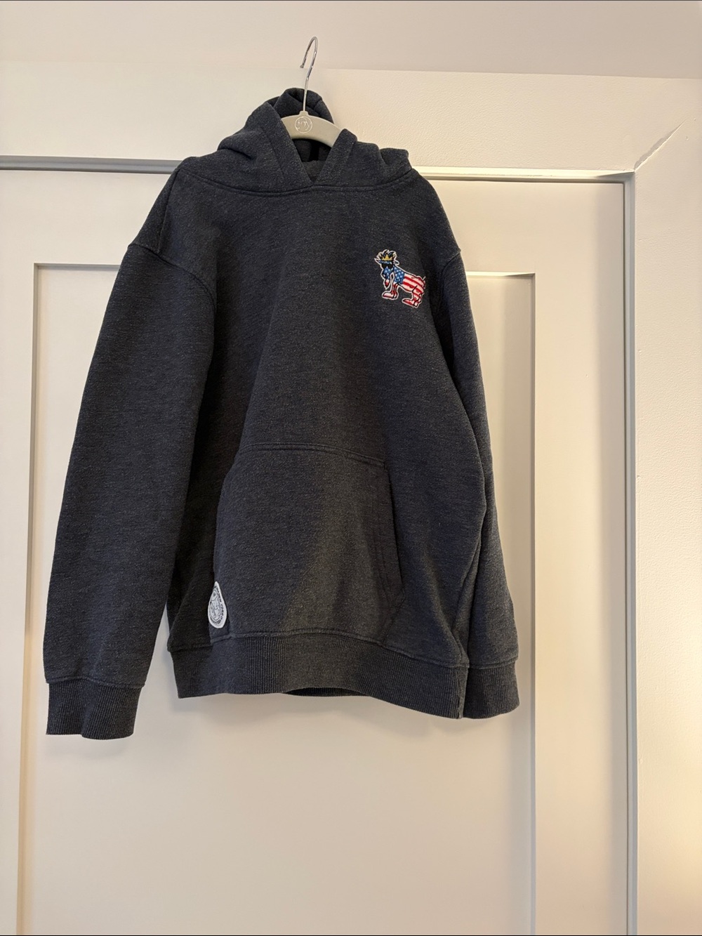 Kids Charcoal Hooded Sweatshirt with Patriotic Dog Patch